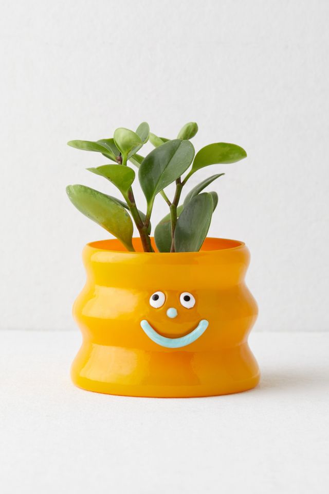 Goofy Face Planter #1