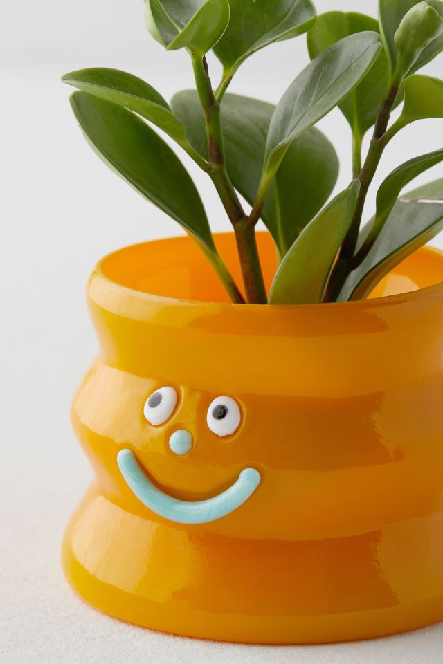 Goofy Face Planter #3