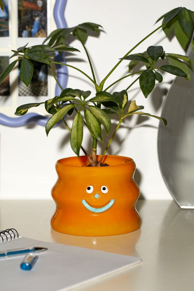 Goofy Face Planter #5