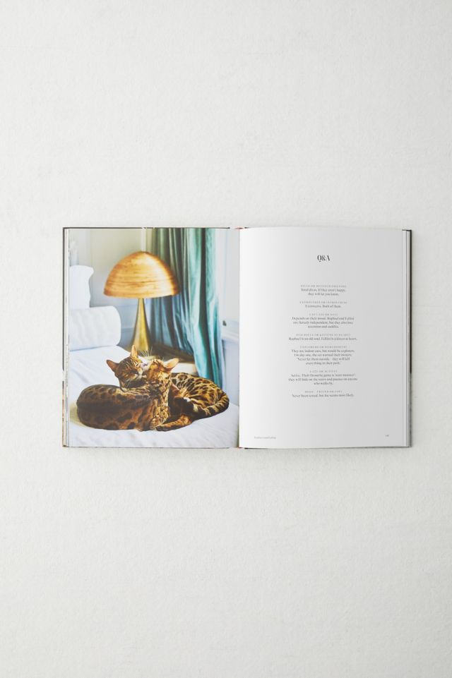 Where They Purr: Inspirational Interiors And The Cats Who Call Them Home By Paul Barbera #2