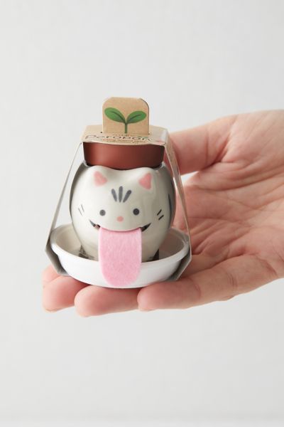 Cat Herb Planter Set