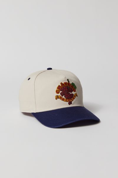 Coney Island Picnic Chateau Curved Brim Snapback Hat In Neutral, Men's