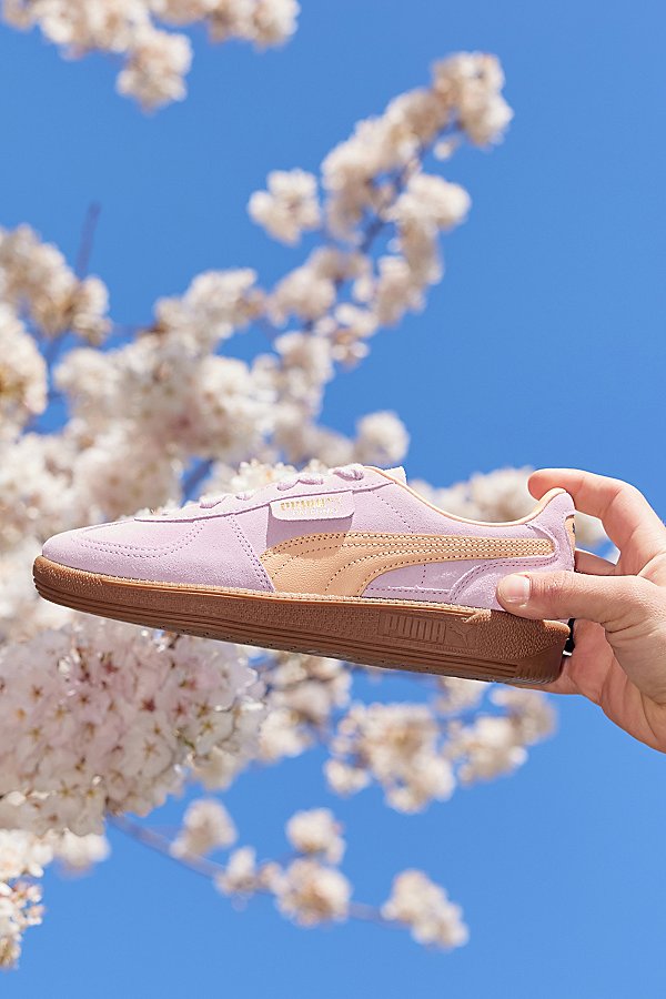 Shop Puma Palermo Suede Sneaker In Grape Mist/peach Fizz, Women's At Urban Outfitters