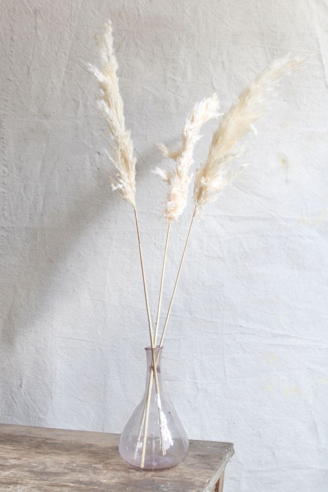 Roxanne’s Dried Flowers Pink Pampas Grass #1
