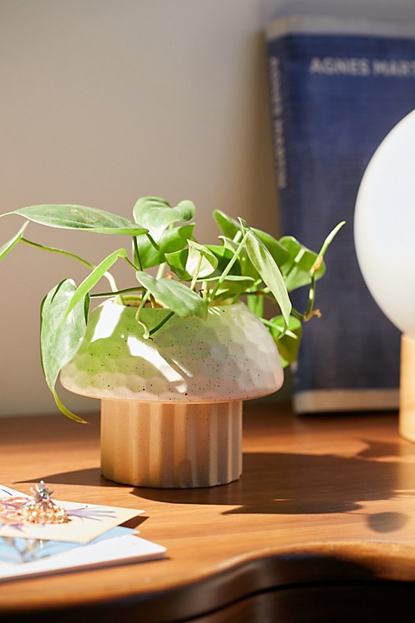 Urban Outfitters Cayla Mushroom Planter In Neutral At  In Green