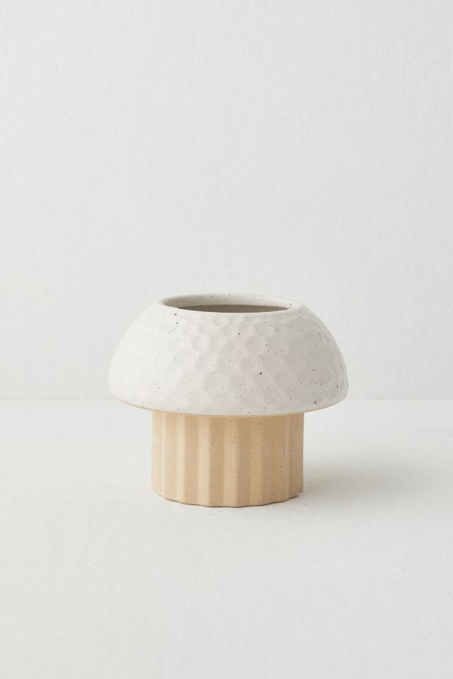 Cayla Mushroom Planter #1