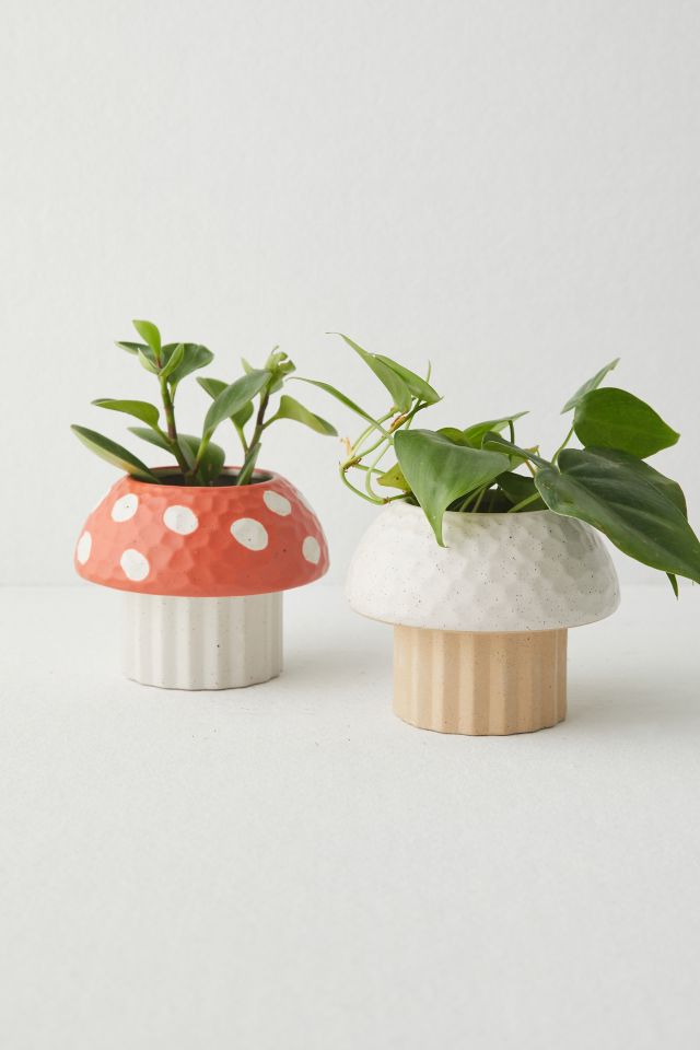 Cayla Mushroom Planter #4