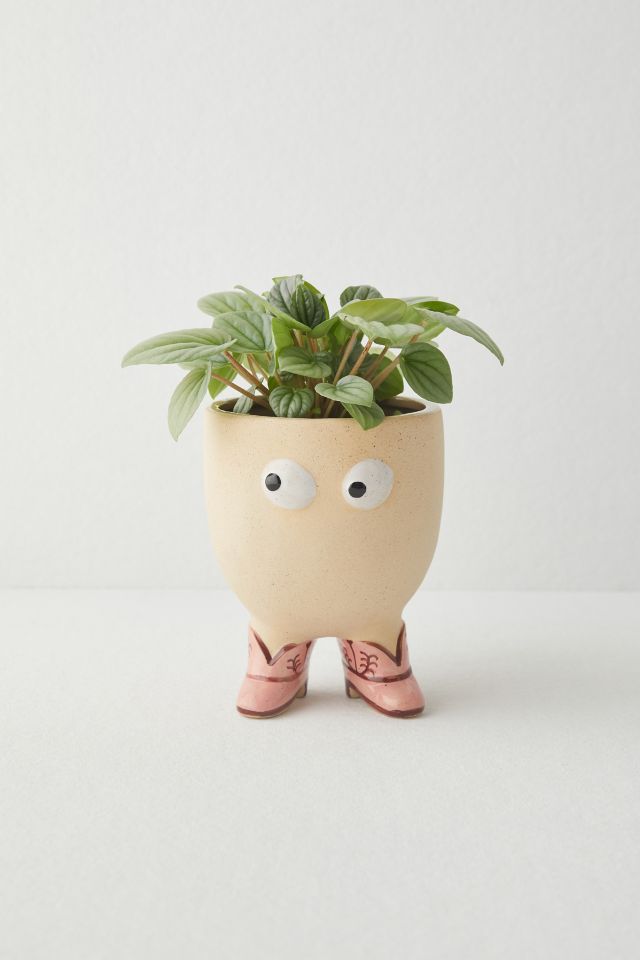 Jardinière Cowboy Henry #1
