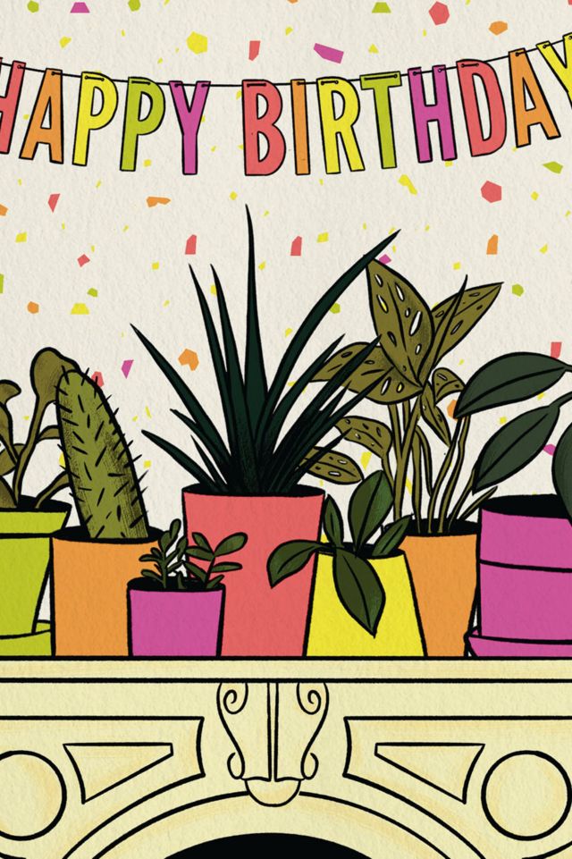 Boss Dotty House Plants Birthday Card #1