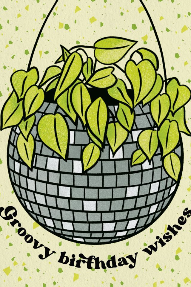 Boss Dotty Disco Planter Birthday Card #1