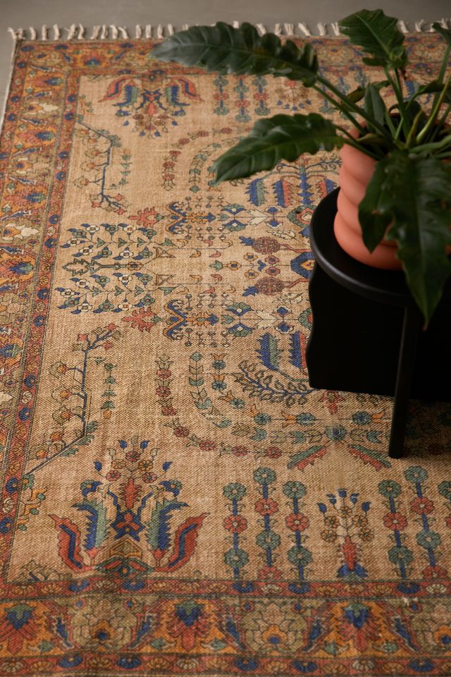 Evelyn Brushed Rug #1