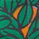 Orange Tree Periwinkle
