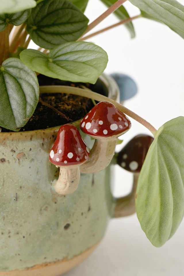 Sprouting Mushroom Planter Urban Outfitters Canada