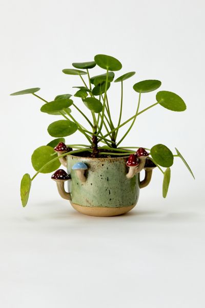 Sprouting Mushroom Planter