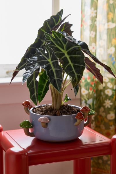 Urban Outfitters Sprouting Mushroom Ceramic Planter In Large Lavender At  In Purple