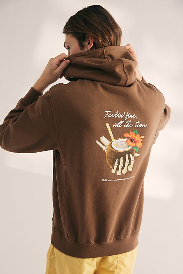 Shop Katin Feelin Fine Graphic Hoodie Sweatshirt In Brown, Men's At Urban Outfitters
