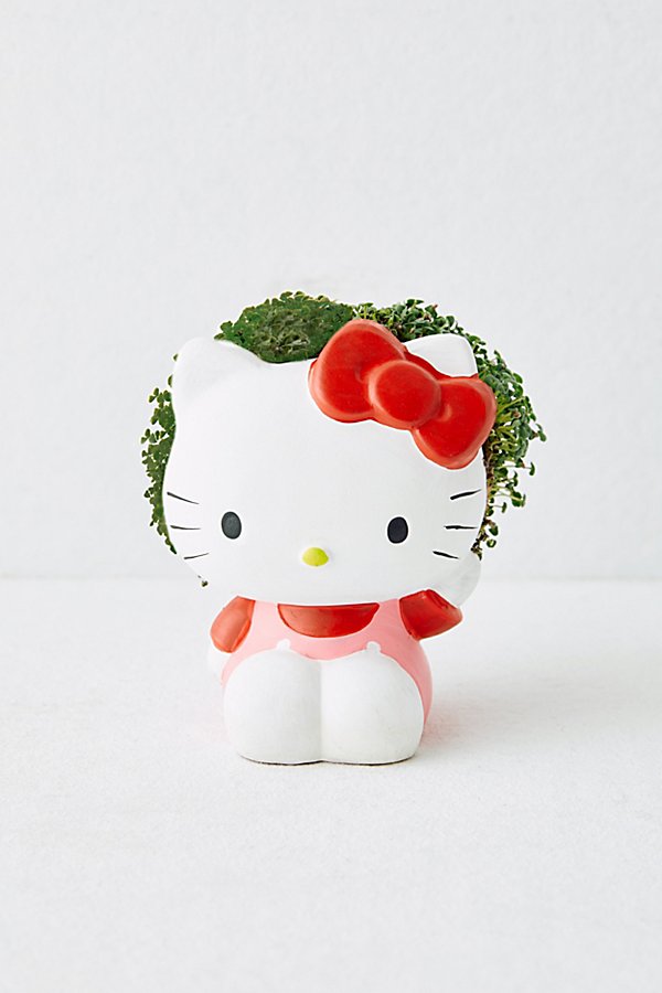 Urban Outfitters Hello Kitty Chia Pet Decorative Planter In Assorted At  In White