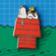 Snoopy Dog House