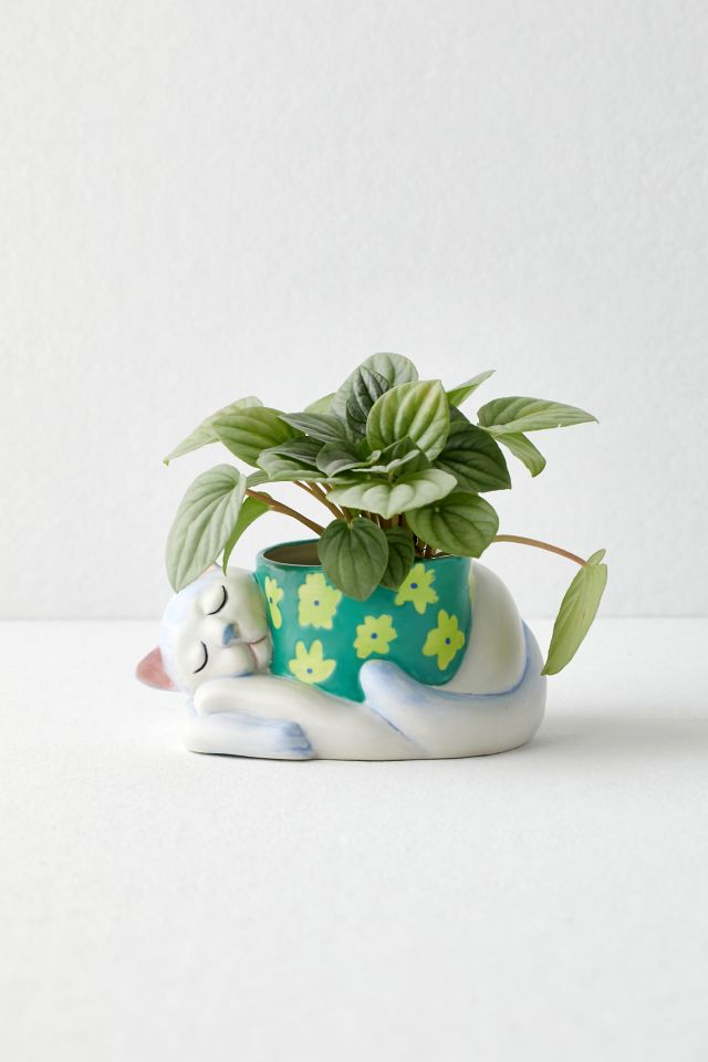 Cat Nap Planter #2