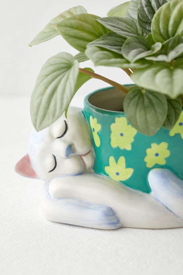 Cat Nap Planter #3
