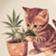 High Maintenance Kitty