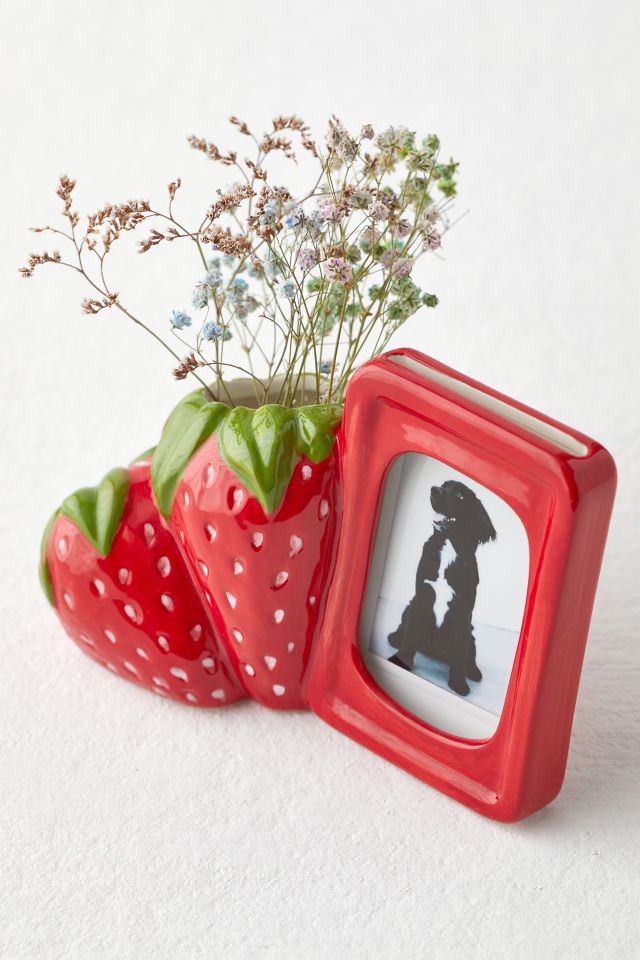 Strawberry INSTAX Picture Frame Vase Urban Outfitters