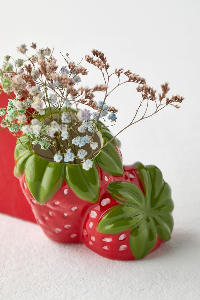 Strawberry INSTAX Picture Frame Vase Urban Outfitters