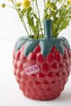 Vase Framboise DOIY