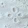 White Eyelet
