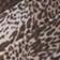 Dainty Cheetah