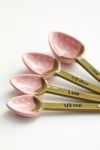 Strawberry Measuring Spoon Set