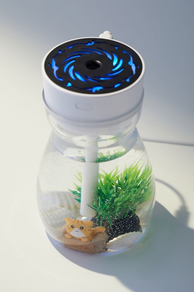 Humidificateur Chat UO #4