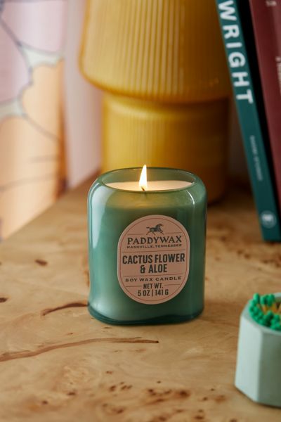 Shop Paddywax Vista 12 oz Candle In Cactus Flower At Urban Outfitters