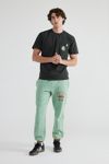 Parks Project X Peanuts Graphic Tee