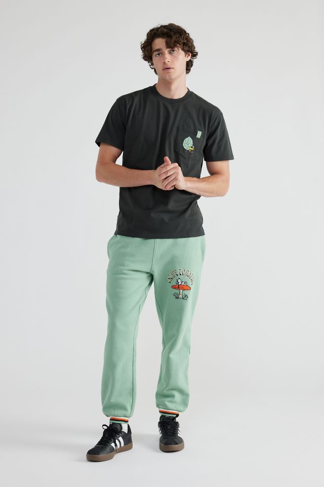 Parks Project X Peanuts Graphic Tee #3