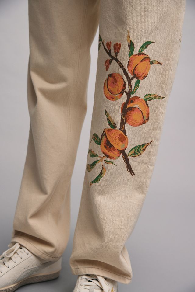 BDG Fruit Print Utility Jean #4
