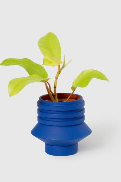 Areaware Strata Ceramic Plant Vessel In Blue At Urban Outfitters