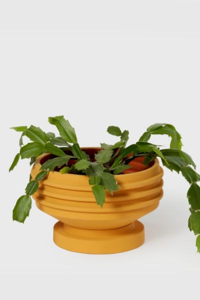 Areaware Strata Ceramic Plant Vessel In Yellow At Urban Outfitters
