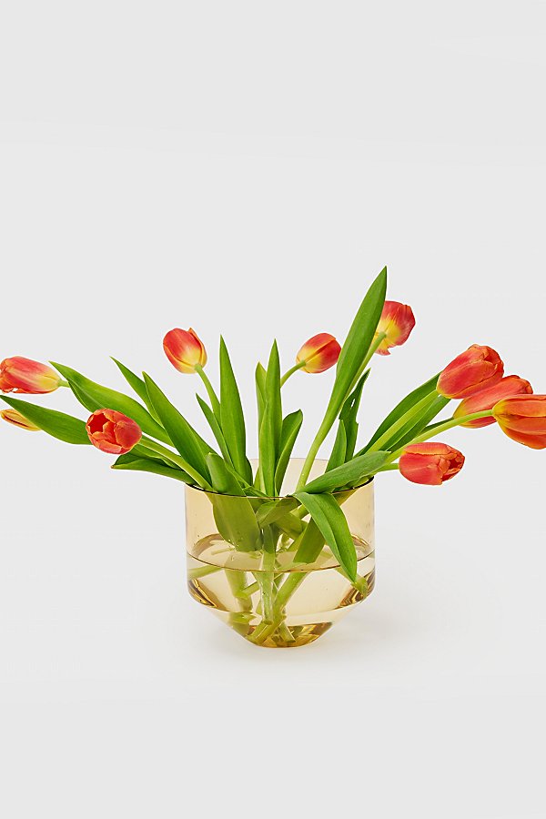 Areaware Model Three Glass Planter In Orange At Urban Outfitters In Metallic