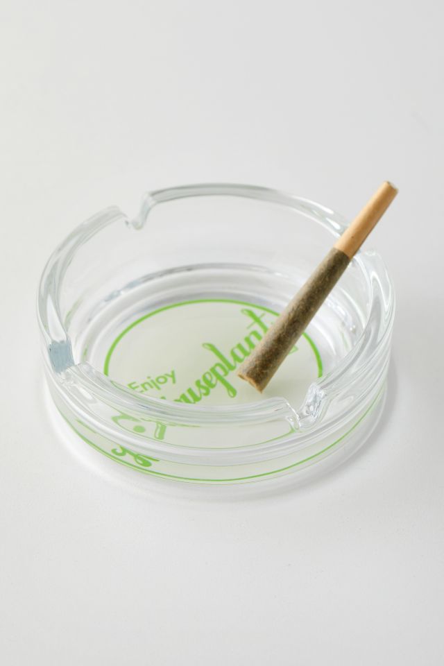 Cendrier en Verre pour Plante d'Intérieur #2