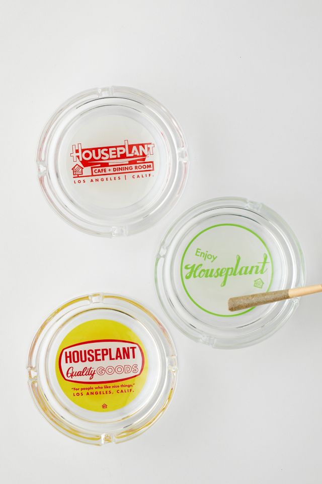 Cendrier en Verre pour Plante d'Intérieur #3