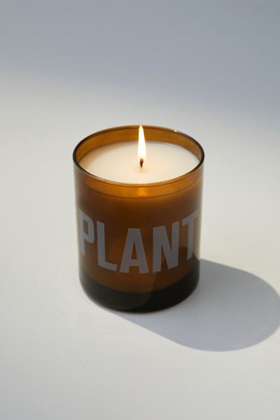 Houseplant Glass Candle