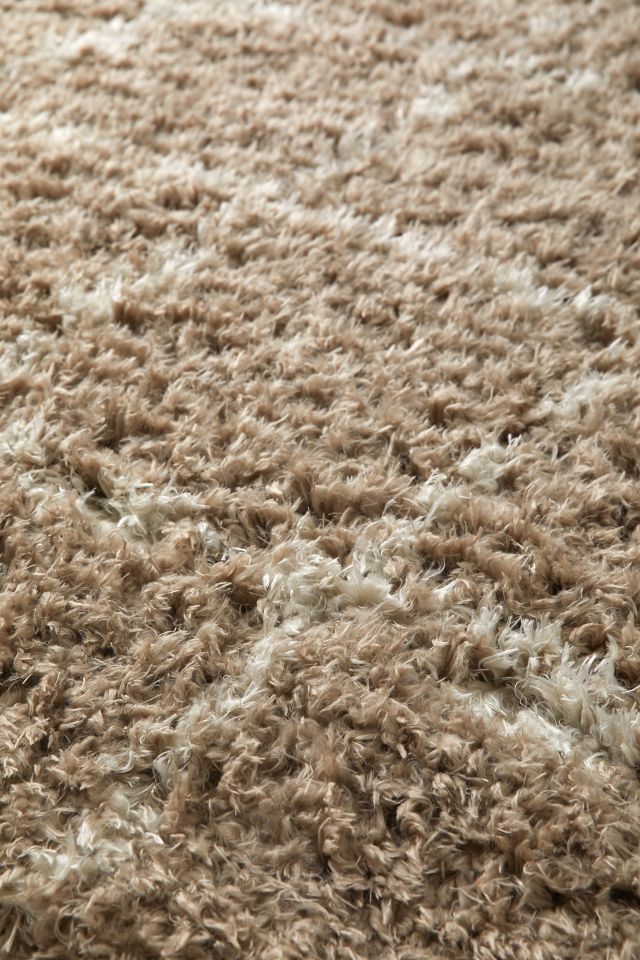 Angela Rose X Loloi Amira Rug #2