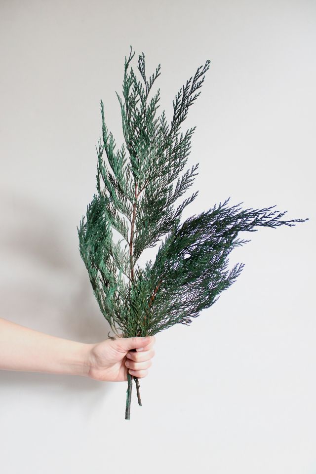 Roxanne’s Dried Flowers Cedar #1