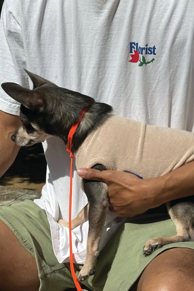 Little Beast Terry Pet Sleeveless Shirt Urban Outfitters