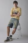 BDG Denim Carpenter Jort