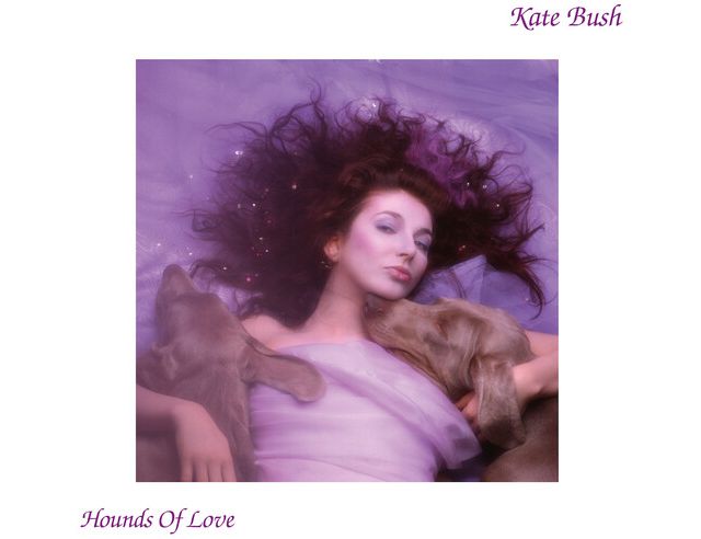 Kate Bush - Hounds Of Love (2018 Remaster 180gram) LP #1