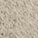 Stone Coin
