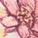 Floral Jules