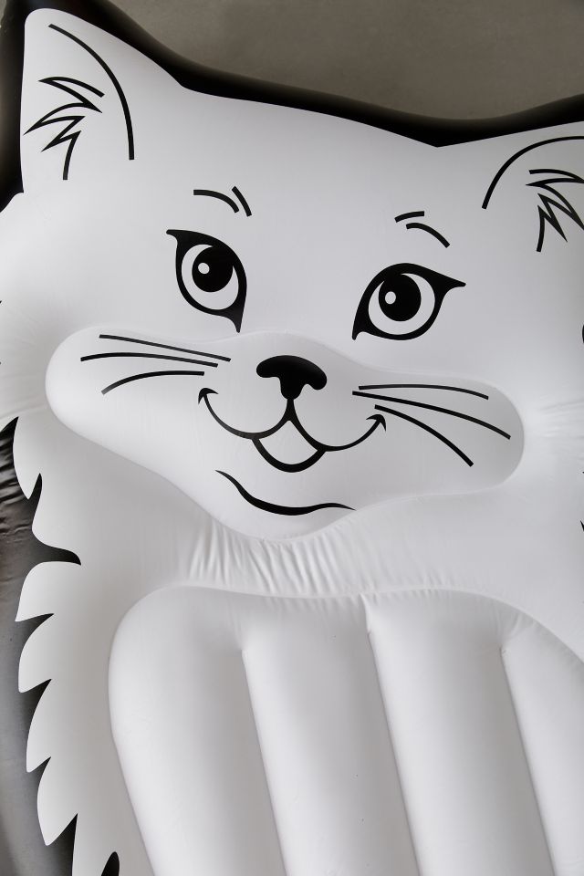 Cat Pool Float #3